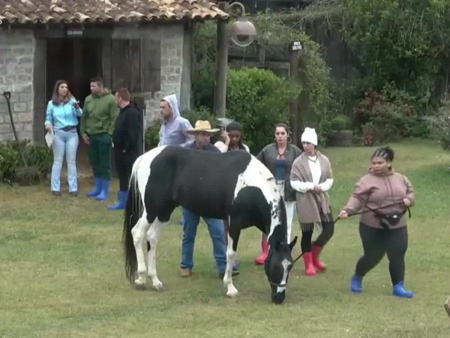 Imagem despedida-animais